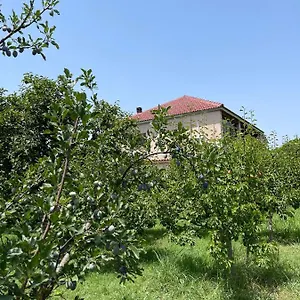 Mance Séjour chez l'habitant Berat